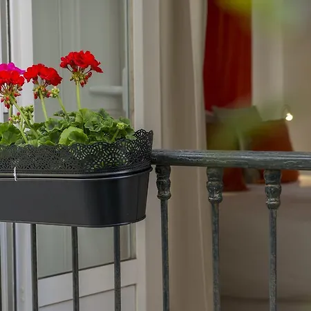 Апартаменты Dreams Estrela