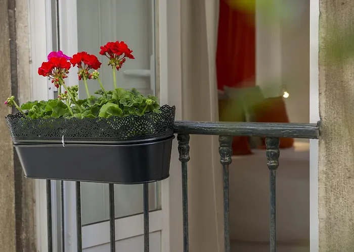 Apartament Dreams Estrela